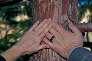 A man and woman 's hands are touching each other.