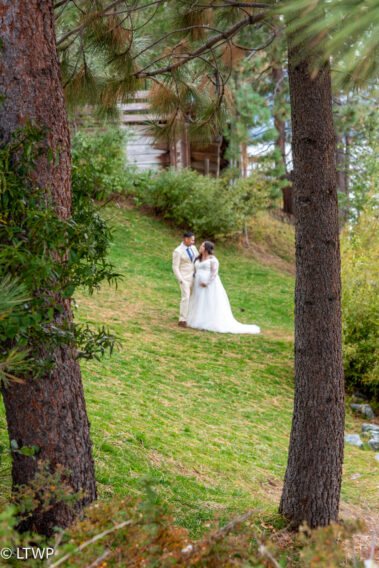 A bride and groom holding hands on a grassy hill, framed by pine trees, with a photographer capturing the moment.