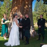 A couple is getting married under the tree