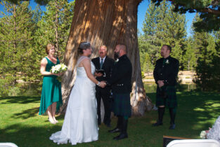 A couple is getting married under the tree