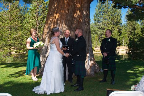 A couple is getting married under the tree