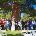 A group of people standing under a large tree.