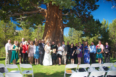 A group of people standing under a large tree.