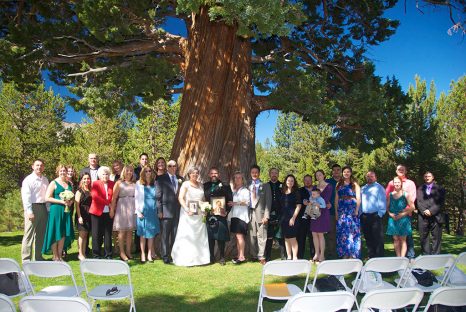 A group of people standing under a large tree.