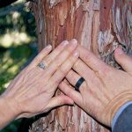 A man and woman 's hands are touching each other.